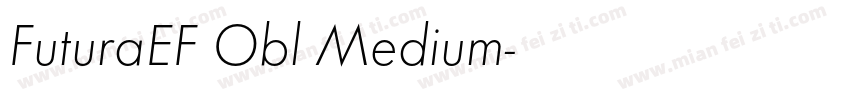 FuturaEF Obl Medium字体转换